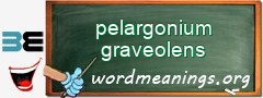 WordMeaning blackboard for pelargonium graveolens